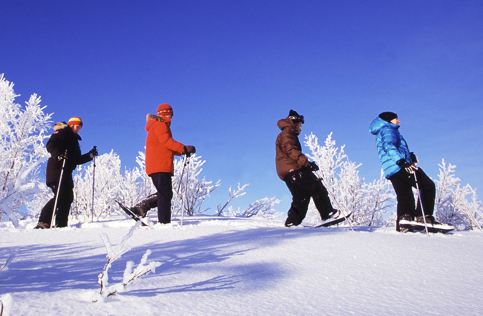 Snowshoe tour from the top of Kiruna Camp Ripan