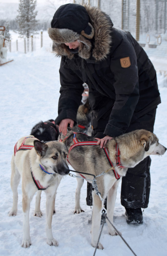 dogsleed massage