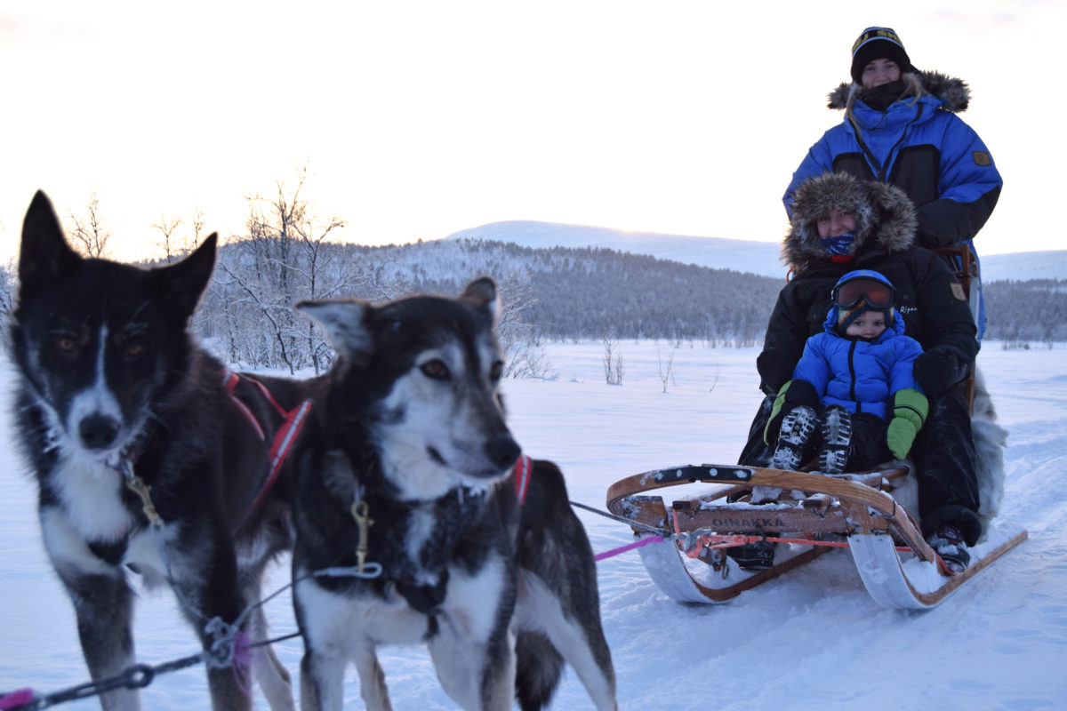 dogsleed kids family