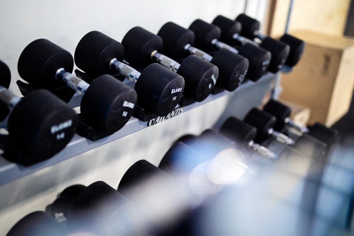 Lösa vikter i ställning på Camp Ripans gym